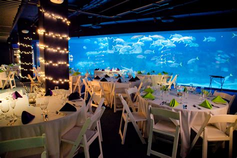 Pine knoll shores aquarium - Celebrate by the Sea! Host your next event at the North Carolina Aquarium at Pine Knoll Shores. Whether birthday-based, business-based, a social gathering, or a wedding, you and your guests will find the atmosphere relaxing and memorable as you venture through our North Carolina aquatic environments. 
